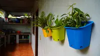 7 Model Pot Tanaman Dinding dari Barang Bekas Dapur Rumah, Cocok untuk Rumah Minimalis