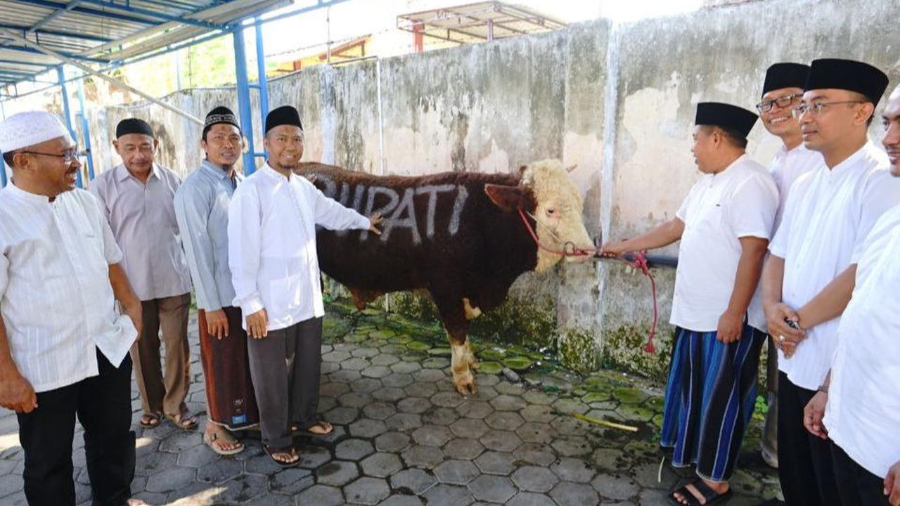 Dok. Istimewa