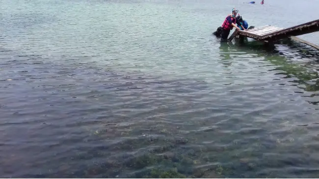 Danau ubur-ubur, Pulau Kakaban. (/Ramdania El Hida)