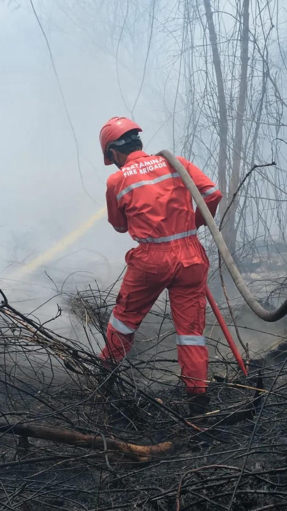 "BMKG menyampaikan cuaca panas dampak El Nino masih panjang, sampai Desember nanti. Itu yang harus segera diantisipasi," kata Albertus.
