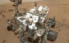 Curiosity pun tampil narsis