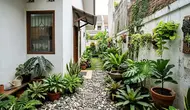 6 Inspirasi Taman Hijau di Sela Rumah, Lahan Sempit Jadi Lebih Asri