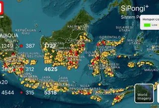 Dashboard Informasi Penanganan Karhutla BNPB.