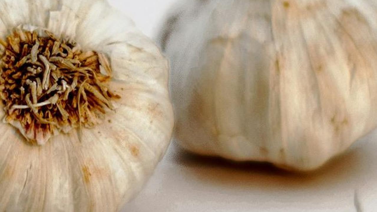 Manfaat Bawang Putih Lainnya<br>