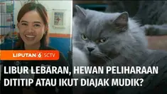 Bagi teman-teman yang punya binatang peliharaan, liputan yang satu ini bisa menjawab kegalauan kamu dan para pawrent  alias pemilik hewan peliharaan saat musim mudik tiba. Kita simak.