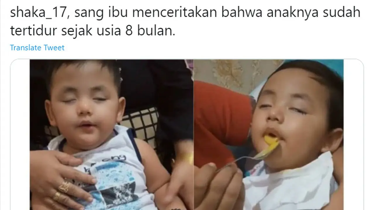 Bayi Shaka, Shaka, Tidur, Tidur Setahun, Shaka Tidur Setahun