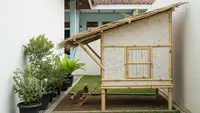 9 Kandang Ayam Praktis dan Minimalis di Lahan Sempit, Solusi Beternak Efisien