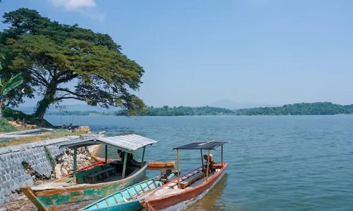 10 Rekomendasi Spot Mancing Nyaman 2025 di Bojonegoro, Mulai dari Bendungan hingga Rawa