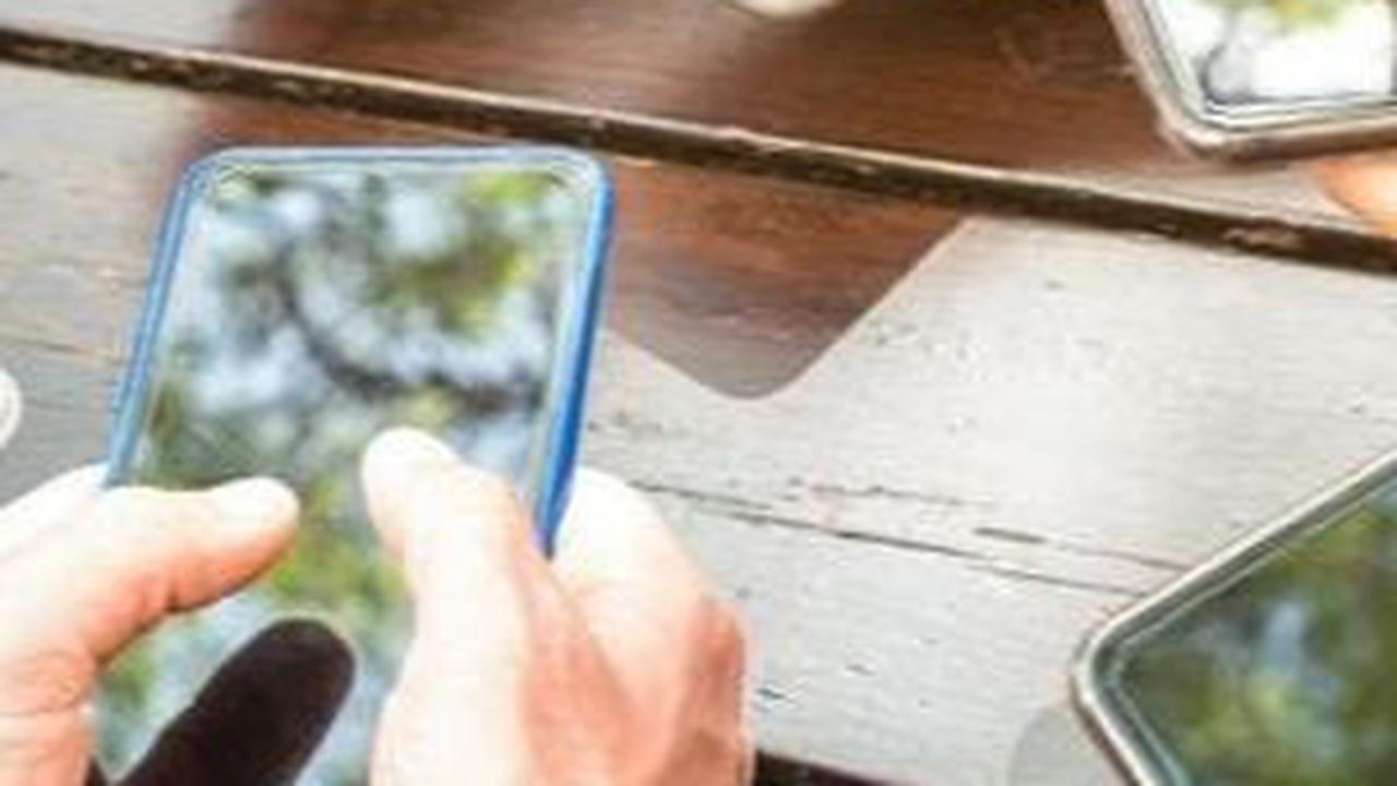 Buzzer adalah Sekelompok Orang yang Menyebarluaskan Informasi, Berikut Pengaruhnya