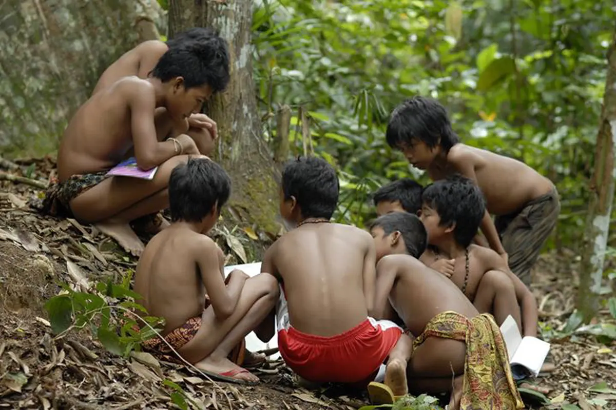 Luar Biasa! 7 Anak Rimba di Jambi Juga Bakal Ikut UN 2016