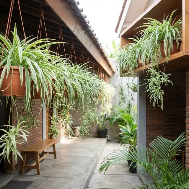 Model Teras Rumah yang Sejuk Hanya dengan Tanaman Murah
