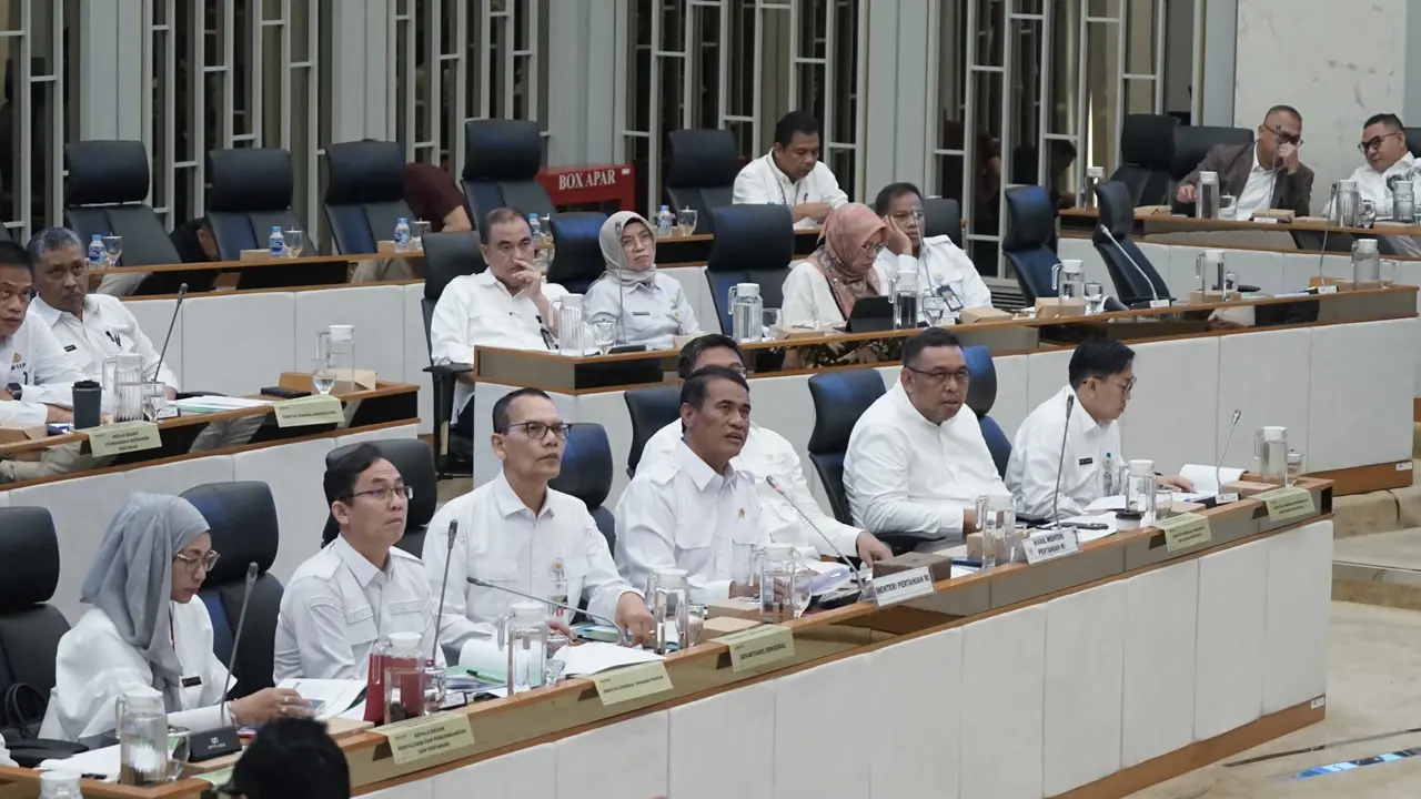 Kementan Usulkan Alokasikan Rp23,61 Triliun dari Anggaran 2025 untuk Dukung Swasembada Beras