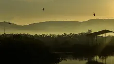 Burung kuntul terbang saat matahari terbit pada Hari Bumi di pantai Kajhu, provinsi Aceh (22/4/2021). Hari Bumi adalah acara tahunan yang dirayakan di seluruh dunia pada 22 April untuk menunjukkan dukungan bagi perlindungan lingkungan. (AFP/Chaideer Mahyuddin)