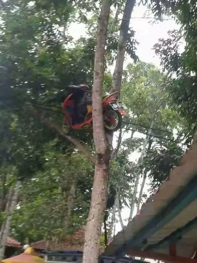 6 Foto Kendaraan Nyangkut, Bikin Enggak Habis Pikir