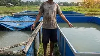 Perbandingan Kolam Terpal Pakai Rangka Besi vs Bambu, Lebih Awet Mana?