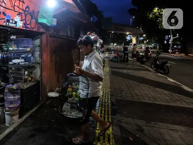 Pedagang merapikan dagangannya saat menutup toko di Pasar Hewan Barito, Jakarta, Senin (8/3/2021). Pedagang di pasar yang menjual aneka hewan peliharaan itu mengalami penurunan omset selama pandemi, meski demikian mereka mengaku tetap bersyukur masih diizinkan berjualan. (Liputan6.com/JohanTallo)