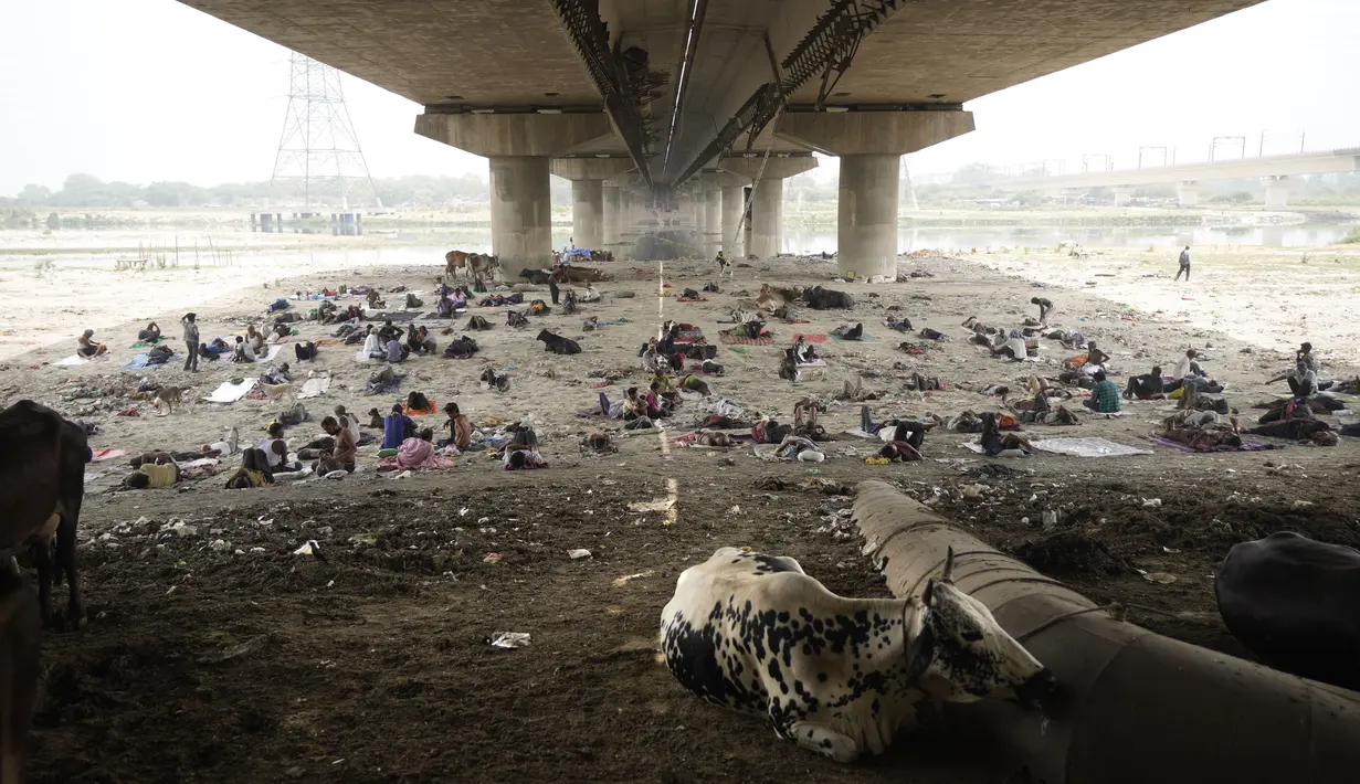 Para tunawisma tidur di bawah naungan jembatan layang pada hari yang panas di New Delhi, Jumat (20/5/2022). Ibu kota India dan sekitarnya tengah menghadapi kondisi gelombang panas yang ekstrem. (AP Photo/Manish Swarup)