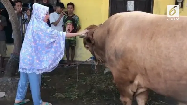 Pada Idul Adha tahun ini, Via Vallen berkesempatan untuk berkurban. Seekor sapi berukuran super besar pun dipilih pelantun lagu "Meraih Bintang" tersebut sebagai hewan kurbannya.