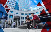 Pendaftaran PCPM BI Angkatan 41 Dibuka: Cek Jadwal, Syarat, dan Link Resmi