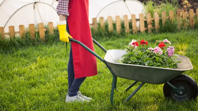 Cara Membuat Pupuk Kompos (sumber: iStock)