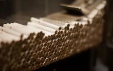 Industri Rokok Serap Banyak Tenaga Kerja, Butuh Perlindungan Pemerintah
