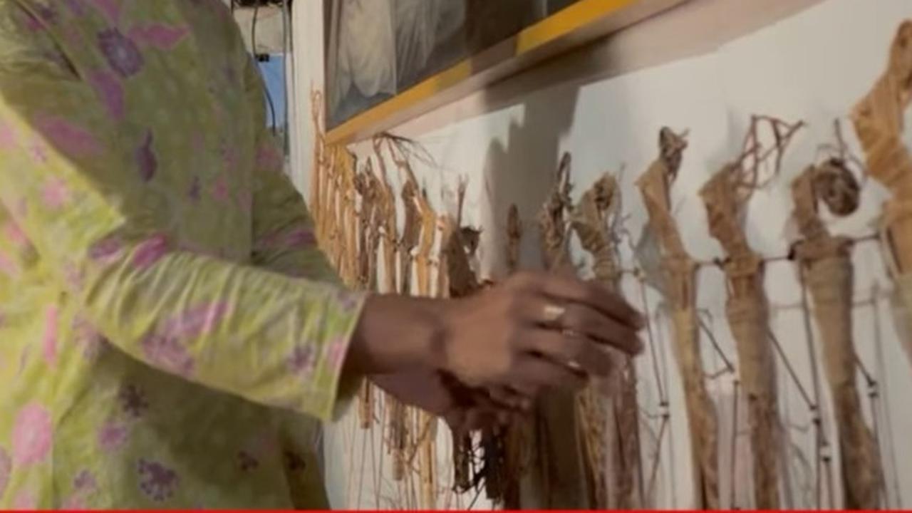 Wayang Sodo Gunungkidul