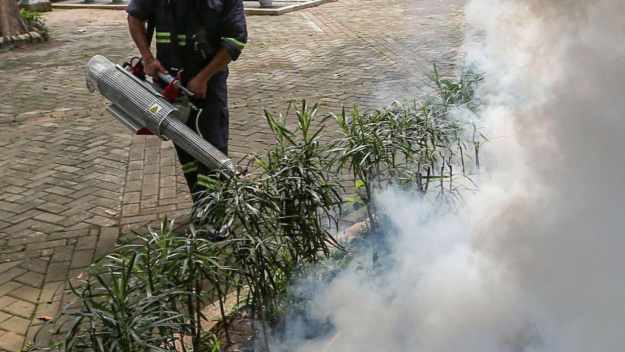 Selain itu, kegiatan fogging ini juga untuk memberikan rasa aman dan nyaman bagi pengunjung museum tersebut.&nbsp;Foto: Liputan6.com/Angga Yuniar