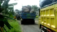 Ratusan truk bermuatan belasan ton batu boreder melintas tiap hari dan menyebabkan jalan hancur lebur. (Foto: Liputan6.com/Kasino/Muhamad Ridlo).