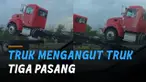 Momen jarang ditemukan dialami oleh seorang pria ini ketika melintas di jalan.