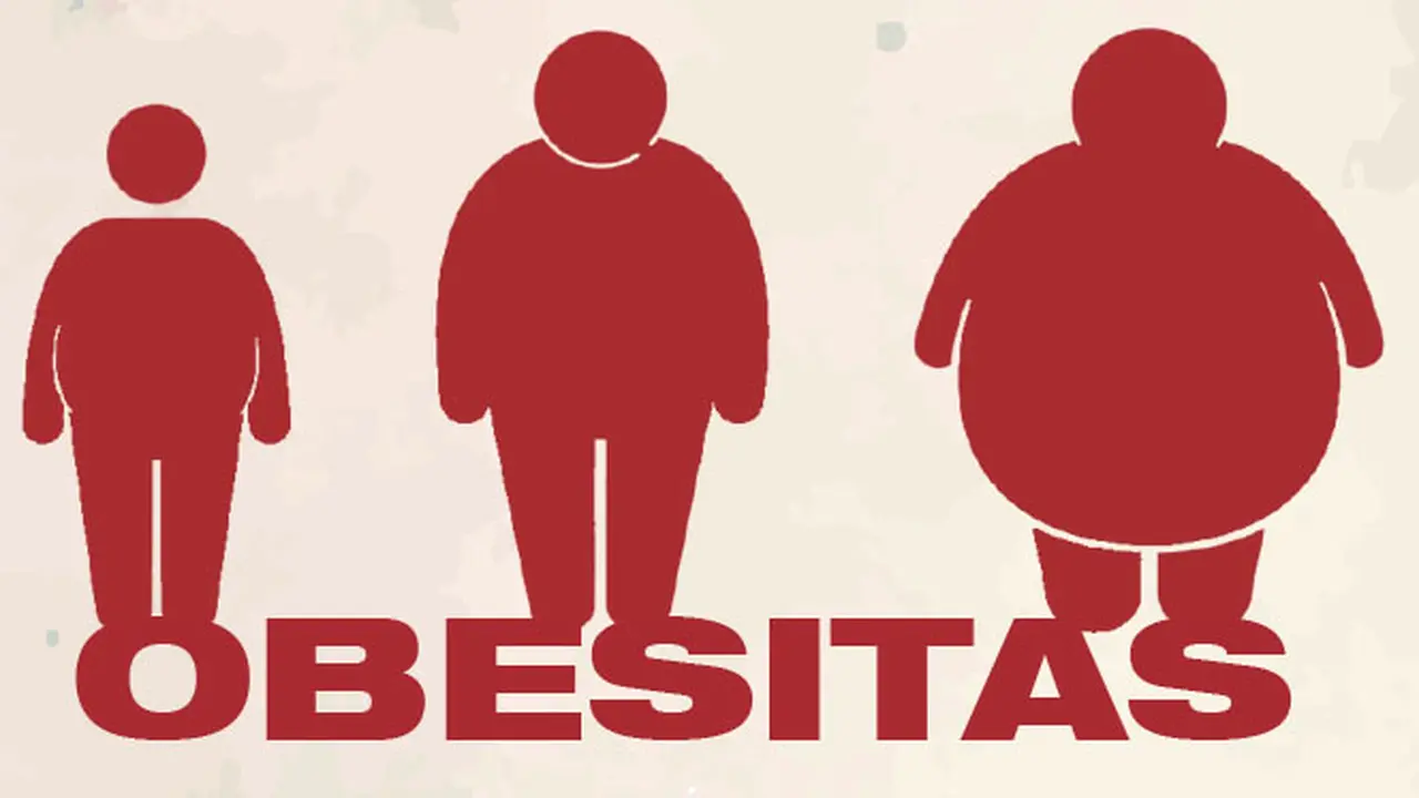 Banner Infografis Obesitas 