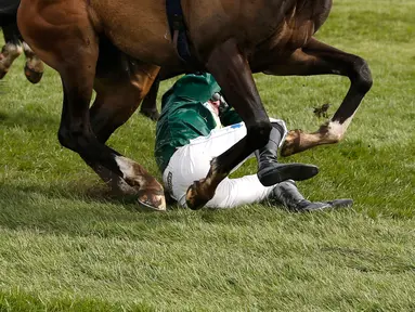 Kuda bernama Curious Carlos terjatuh saat ditunggai oleh Sean Bowen pada pacuan kuda festival nasional Crabbie Grand Liverpool, Inggris, Kamis (7/4/2016). Joki kuda ini terjatuh usai melewati pagar rintangan akhir. (Reuters / Andrew Boyers)