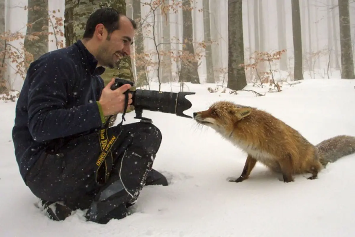 10 Alasan Kenapa Fotografer Fauna adalah Pekerjaan Terbaik