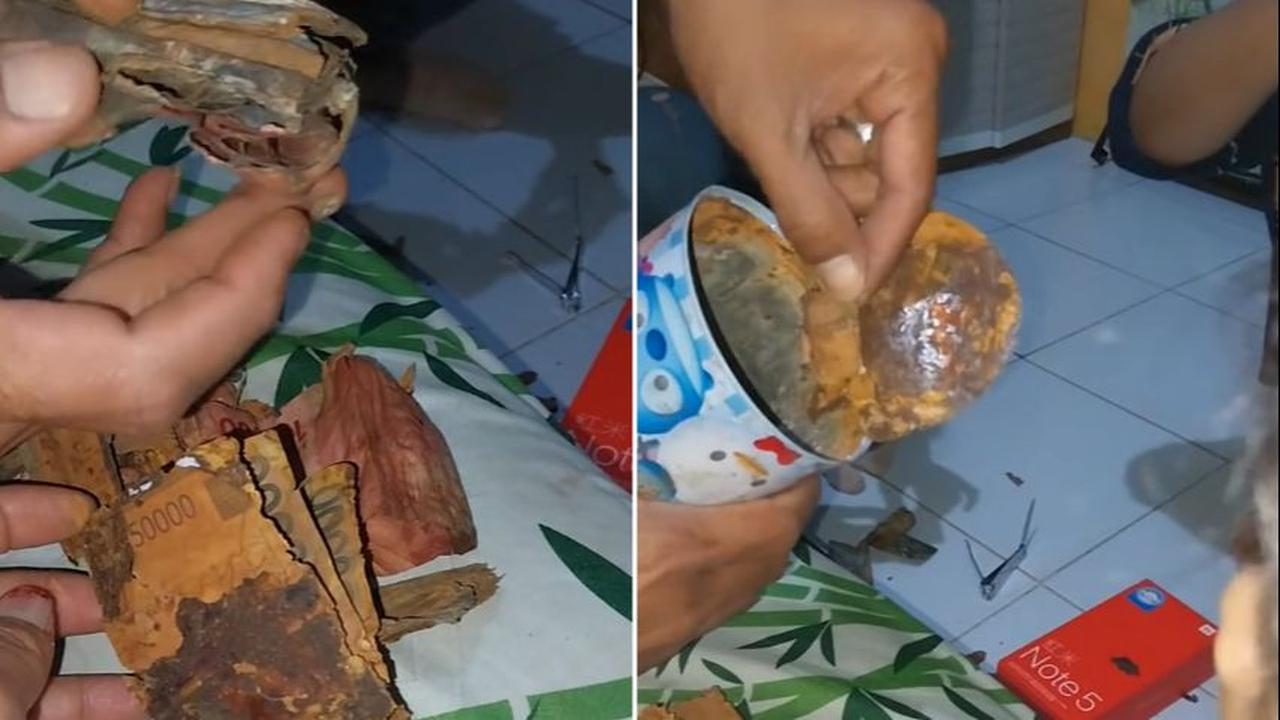 Wanita Ini Kaget Uang yang Ditabung di Celengan Rusak Parah, Begini Penampakannya