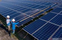 Fakta Unik PLTS Sengkol: Pembangkit Surya Terbesar di Lombok Ini Hasilkan 11,5 Juta kWh per Tahun!