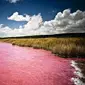 Danau Retba (www.atlasobscura.com)