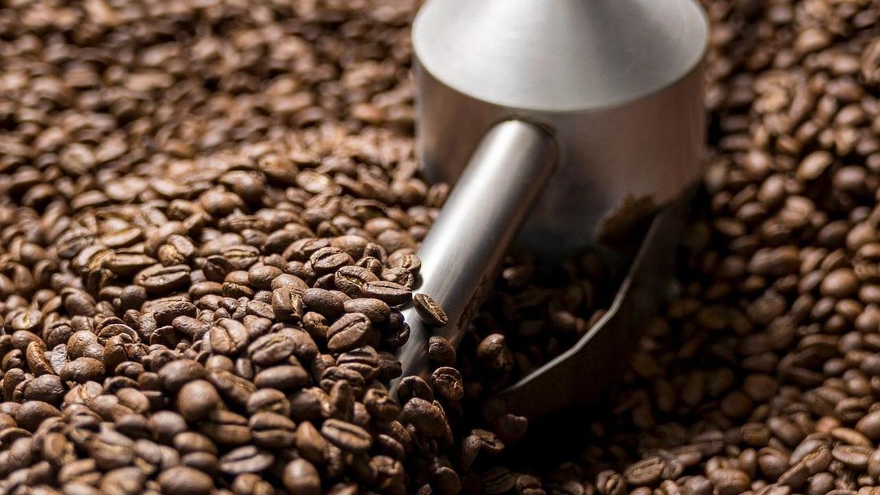 Digitalisasi Teknologi Merambah Mesin Sangrai Kopi, Apa Keunggulannya?