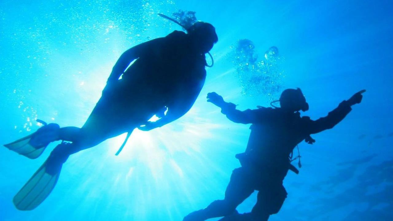 Sedang Menyelam di Laut, Penyelam Tak Sengaja Tersandung Bangkai Kapal 2.200 Tahun