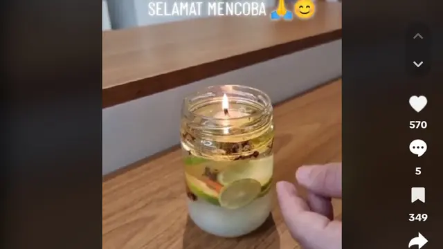 Gunakan 1 Jenis Minyak, Ini Trik Efektif Usir Nyamuk dan Lalat Tanpa Obat Serangga