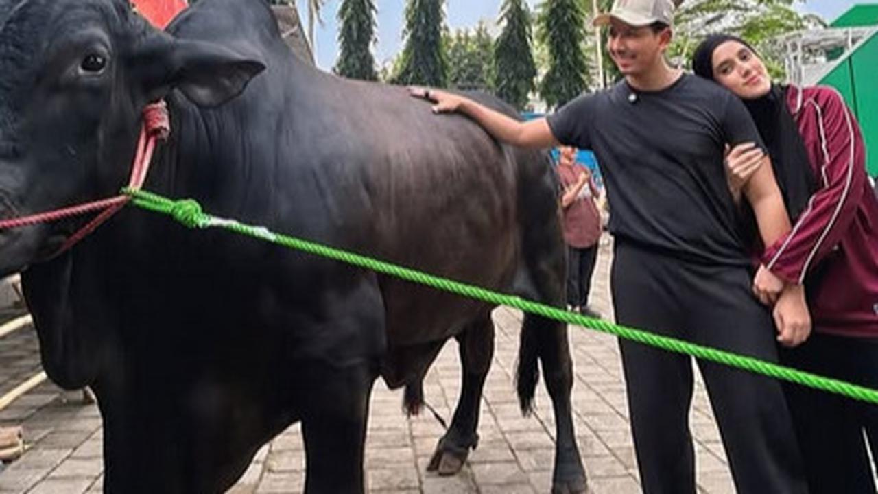 Penampakan Sapi Kurban 1,2 Ton Sonny Septian dari Raffi Ahmad, Bernama Kahfi - Diantar Langsung sama Irfan Hakim
