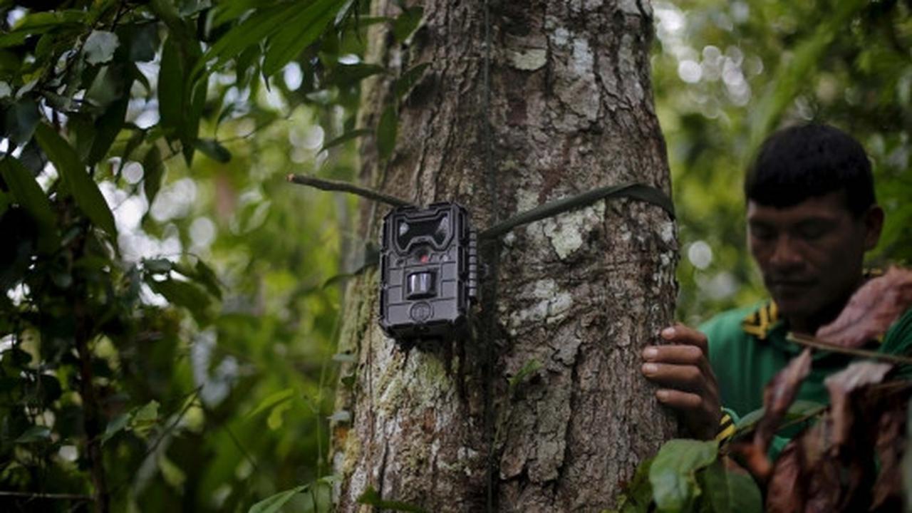 Begini cara canggih Suku Indian lindungi Amazon dari penebang liar