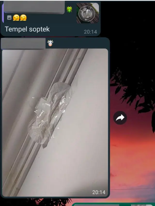6 Cara Atasi Atap Bocor Pakai Pembalut Ini Kocak, Solusi Nyeleneh ketika Kepepet