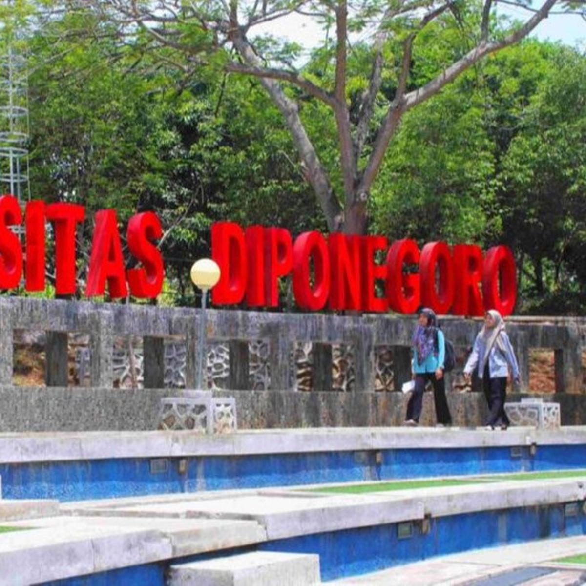Undip
