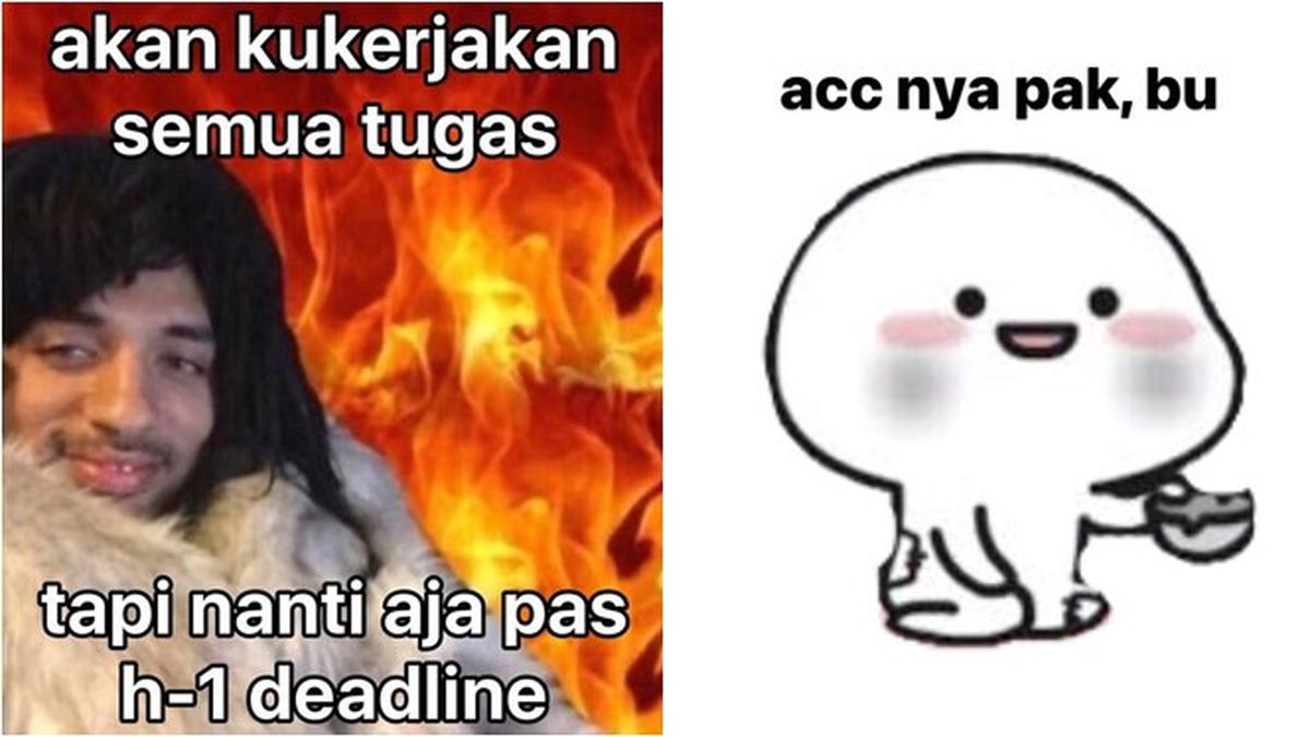 10 Meme Lika Liku Saat Jadi Mahasiswa Ini Relate Banget Hot