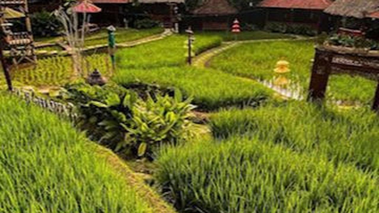 2. Sawah Segar Sentul<br>