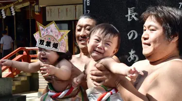 Kompetisi sumo di Jepang tak hanya diikuti orang dewasa tetapi juga diikuti bayi, Tokyo, (21/9/14). (AFP PHOTO/ Yoshikazu TSUNO)