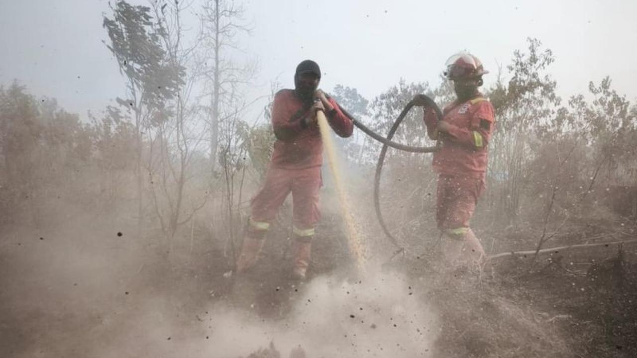 Kemenhut Intensifkan Pemadaman Karhutla Riau, Manggala Agni Berjibaku di Lapangan