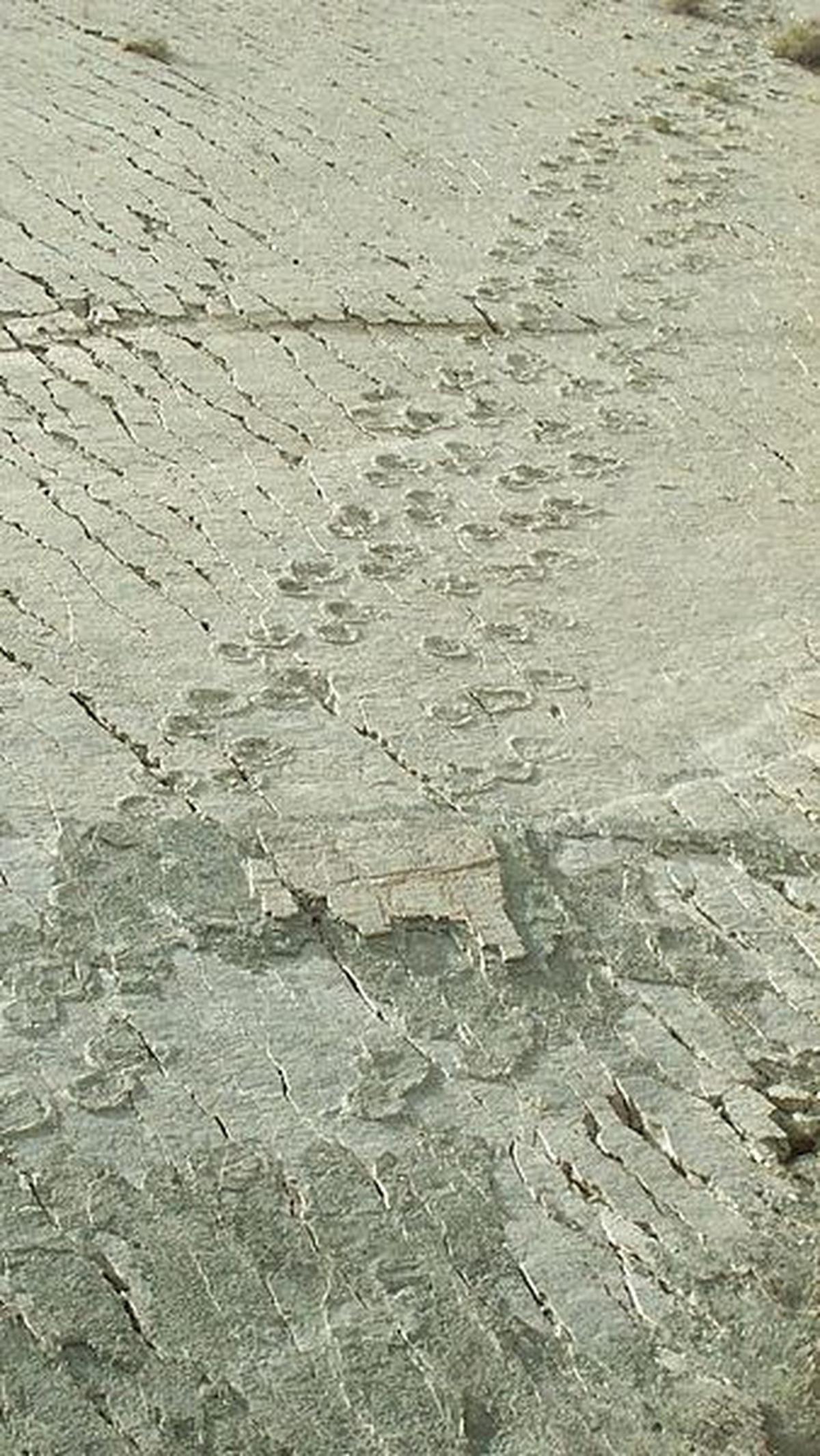 5.055 Jejak Kaki