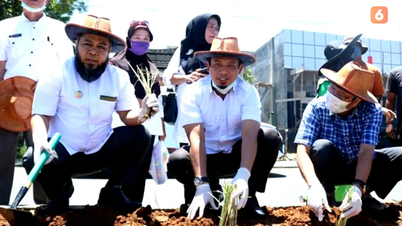 Perkuat Ketahanan Pangan Masa Pandemi Wali Kota Bengkulu Ajak Warga Menanam
