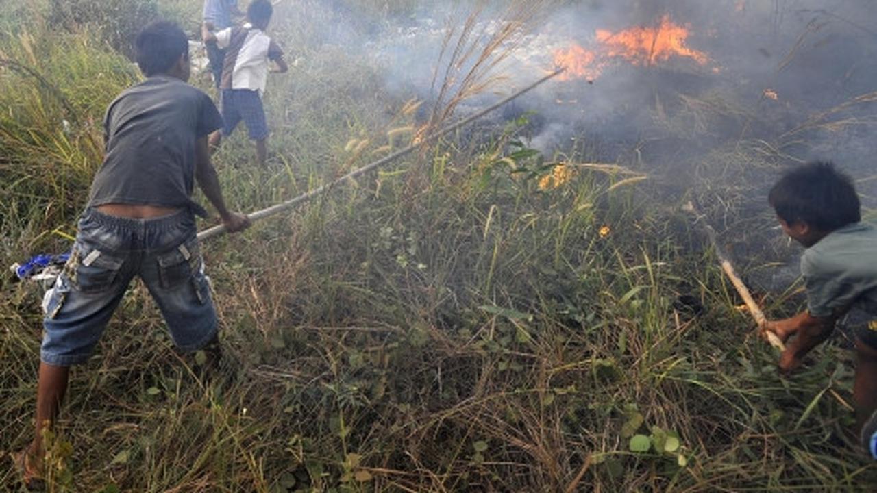 Warga dan petugas bahu-membahu padamkan kebakaran lahan di Tangsel