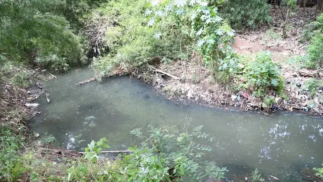 Aksi Bersih-Bersih Sungai dari Sampah Saja Tak Cukup